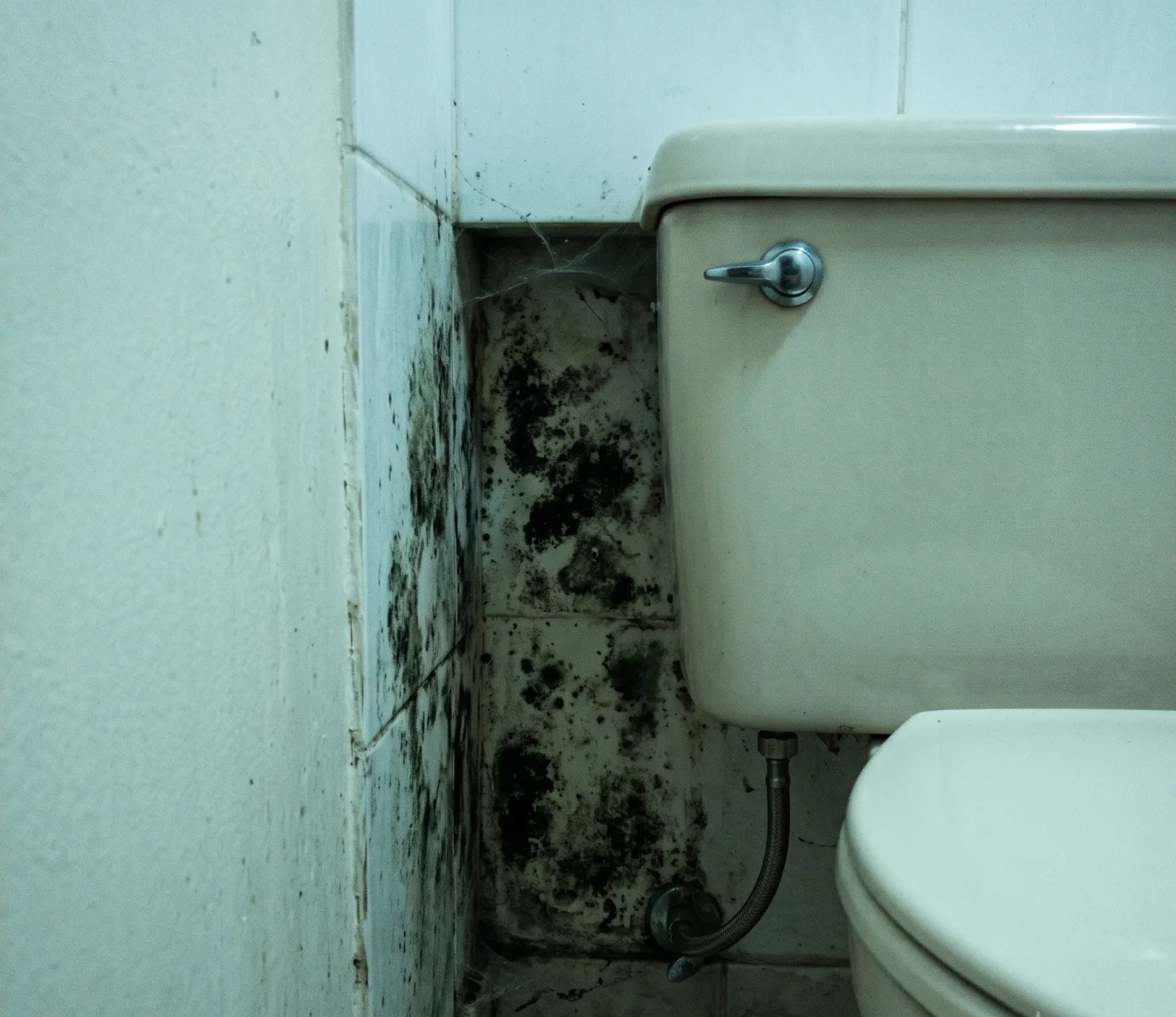 Burst Supply Line water damage in Fort Lauderdale, FL