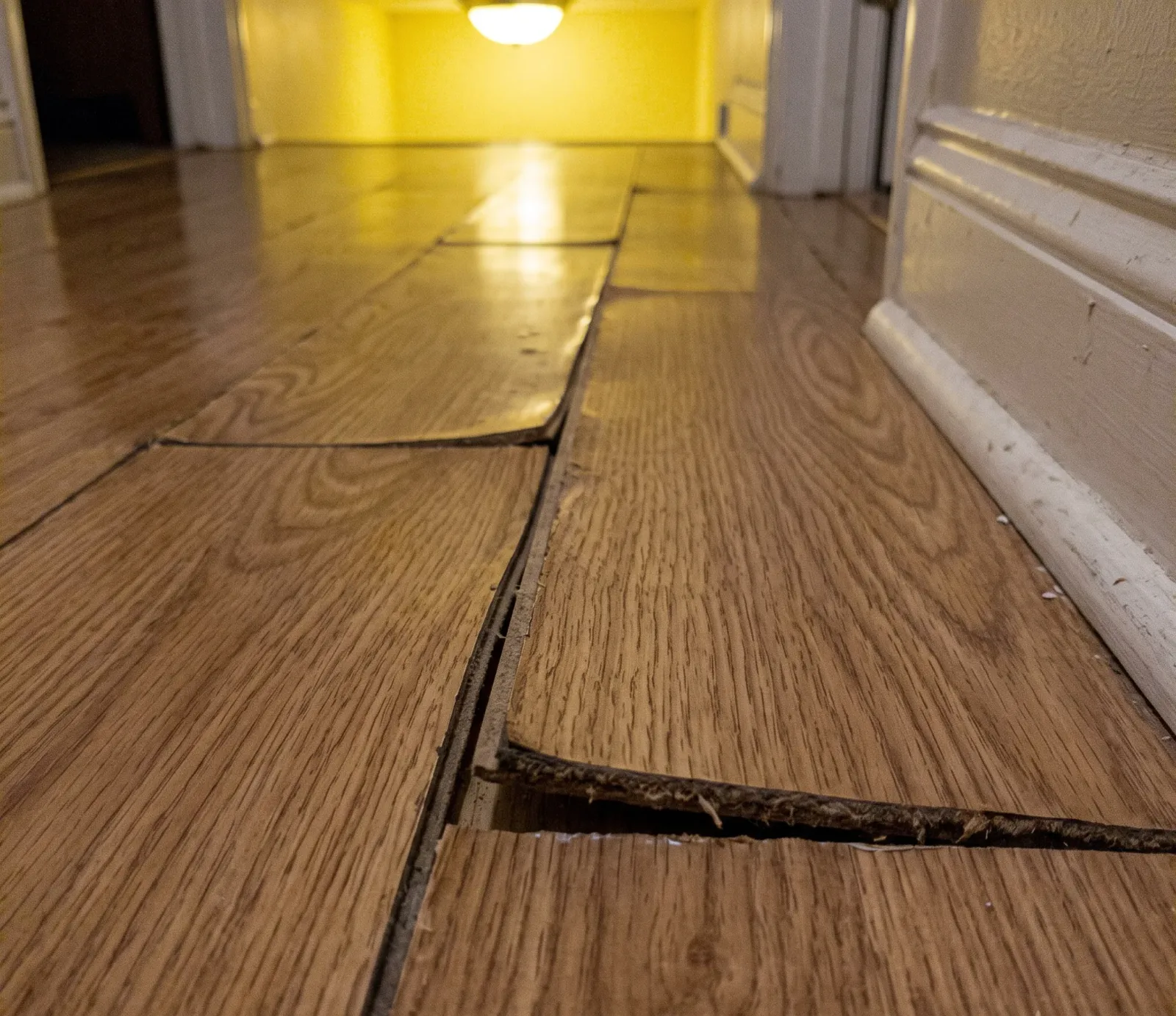 Why Older Fort Lauderdale Homes Get Sewer Backups