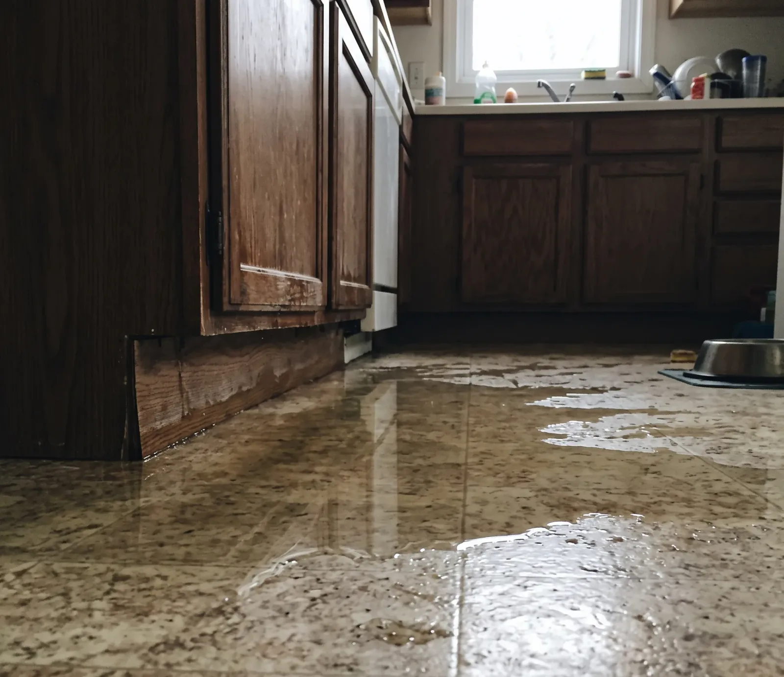 King Tide Flooding water damage in Fort Lauderdale, FL